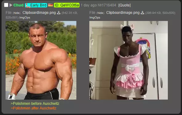 1753101528007.webp